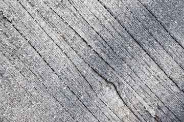 Tree trunk covered with ice crystals in wintertime.
