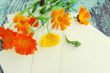 Yellow summer flowers of a calendula and ancient empty photographs on a wooden surface. Nostalgic summer background with a bouquet from a marigold. Festive card.