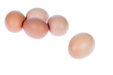 brown egg on white background
