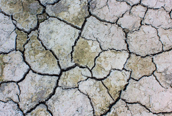 soil Cracked arid  pattern for background. 