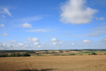 Obraz premium Landscape