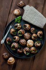 Bourgogne snails with garlic butter and parsley, high angle view