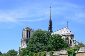 Fototapeta na wymiar Notre Dame cathedral from seine