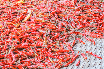 Fototapeta premium dried chilies