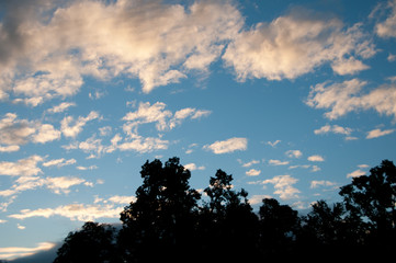 Obraz na płótnie Canvas Fluffy white clouds in a blue sky background