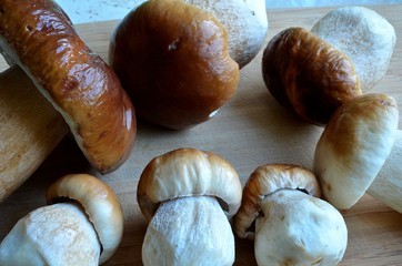 Na grzyby! © Pio Si