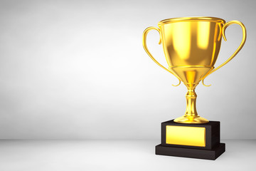 Champion gold cup trophy