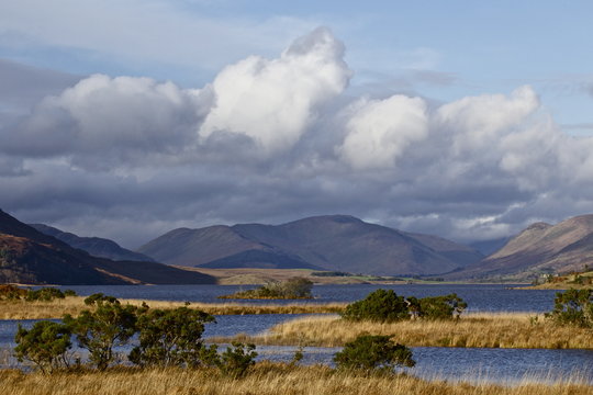 Corrib