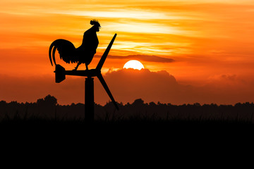 silhouette of roosters crow stand on a wind turbine. In the morn