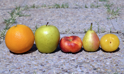 Colorful ripe fruits on stones surface in the garden.
