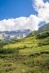 Fototapeta na wymiar Naturlandschaft in den Alpen