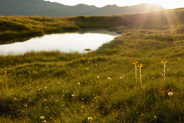 letzte Sonnestrahlen am Bergsee