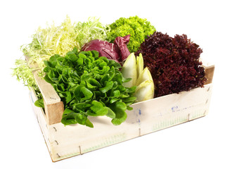 Salatkiste © ExQuisine