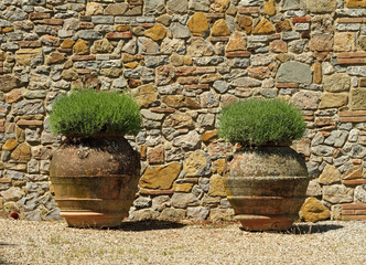 classic tuscan huge  terracotta flower pots, Tuscany, Italy, Eur