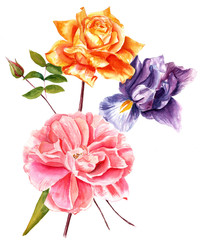 A vintage style watercolour drawing of a bouquet of roses and an iris