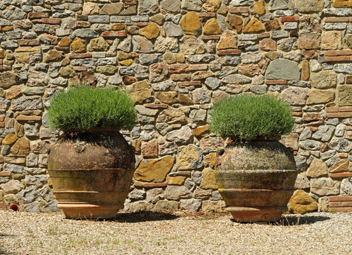 classic tuscan huge  terracotta flower pots, Tuscany, Italy, Eur