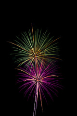 firework isolated on black background, sumida river firework fes