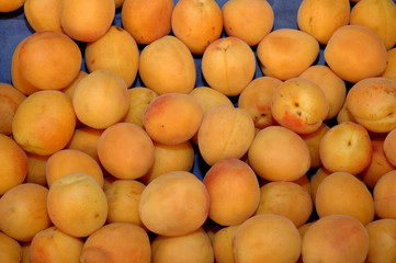Abricots 165