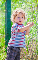 Baby boy exploring outdoor