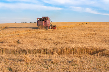 Obraz premium Tractor at work
