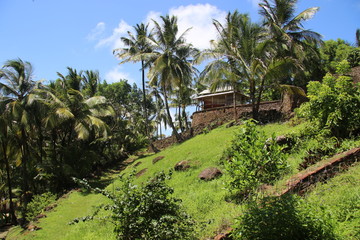 Fototapeta na wymiar Guyane - Les Îles du Salut - Août 2015