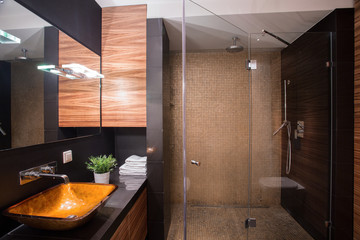 Dark bathroom with big shower