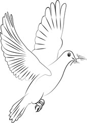 vector white dove of peace with a branch with leaves in its beak, in black and white