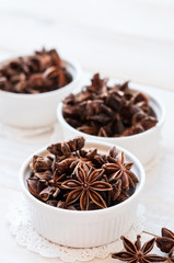 Fresh anise-star, nature spice background