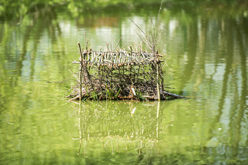 house for ducks
