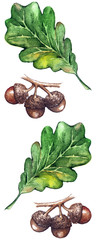 Watercolor three oak green leaf acorn seed seamless pattern background © Silmairel