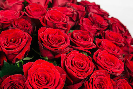 Close-up of large bouquet of 101 red rose isolated on white