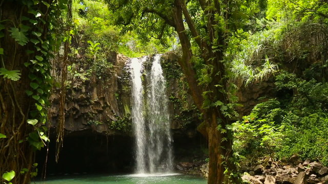 Powerfull Waterfall with big Pool in Rain Forest in Hawaii
