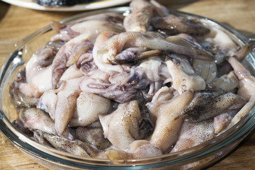 fresh calamari of market
