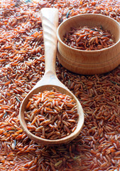 Red rice