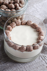 Fresh homemade yogurt with rye bran