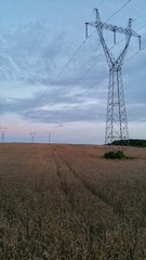 Słupy na polu © michalsen