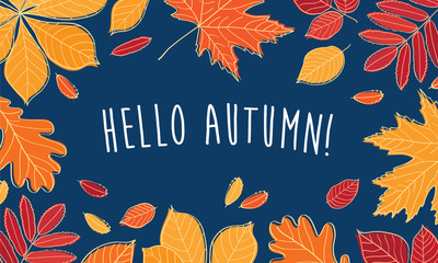 Hello autumn! Hand drawn different colored autumn leaves. Sketch, design elements. Vector illustration. © tkoko