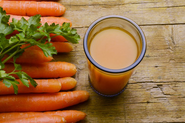 Daucus carota ಗಜ್ಜರಿ കാരറ്റ് Mrkva obyčajná Морковь جزر شائع дикая แคร์รอต Wortel groente succo גזר הגינה Mrkva Möhre Pflanzenart Marchew zwyczajna Wilde peen 당근 गाजर Cenoura 野胡萝卜 Carrot Carotte 