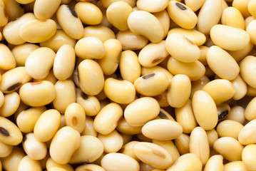 soy beans on white background.
