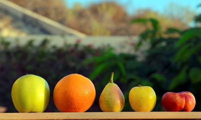 Colorful fruits on green garden background close up.