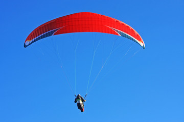 Paraglider