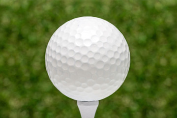 golf ball on tee