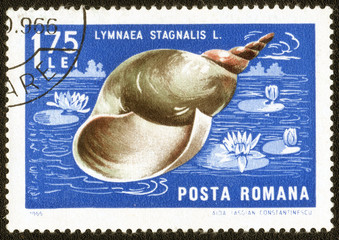 ROMANIA - CIRCA 1966: 