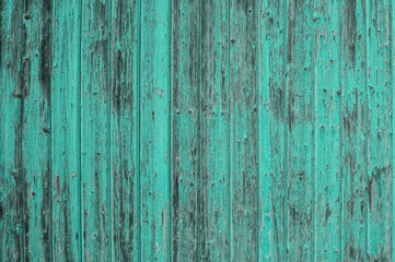 Fototapeta na wymiar Wooden turquoise colored background. Abstract surface texture