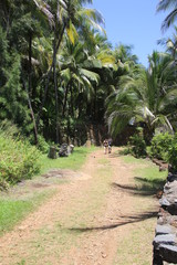 Obraz premium Guyane - Îles du Salut - Août 2015