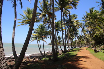 Guyane - Les îles du Salut - Aout 2015 