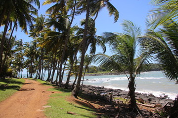 Obraz premium Guyane - Les îles du Salut - Aout 2015 