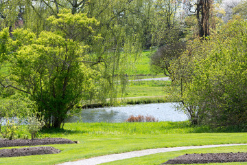 Fototapeta premium Green spring landscape with lush and fresh vegetation in Sweden in May.