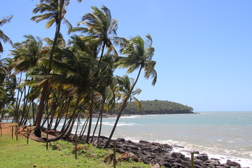 Guyane - Les &icirc;les du Salut - Aout 2015 