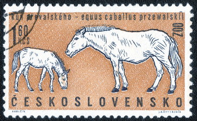 CZECHOSLOVAKIA - CIRCA 1962: 